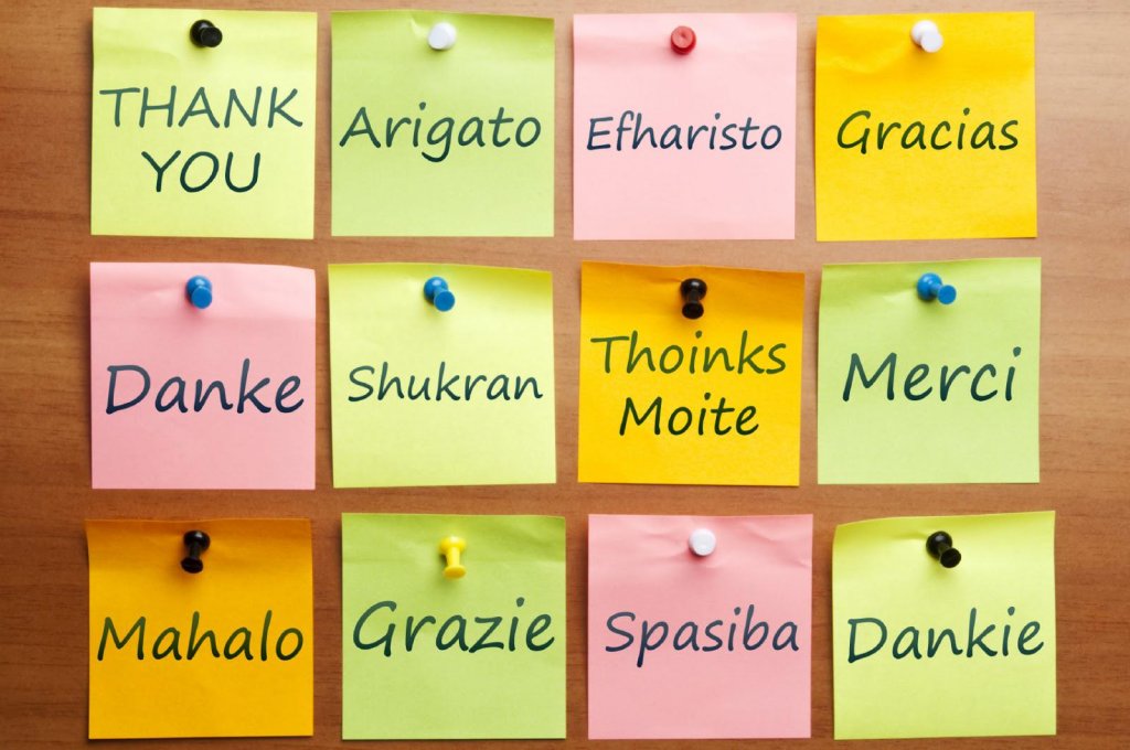 El poder de la gratitud
