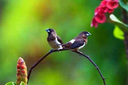 Cómo identificar a los saboteadores de la comunicación