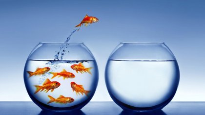La vida es un proceso de cambio constante