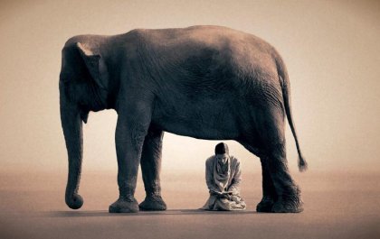 5 curiosidades sobre la memoria