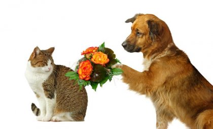 3 ideas para disculparse de manera eficaz