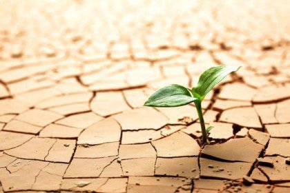 ¿Tienes una personalidad resiliente?