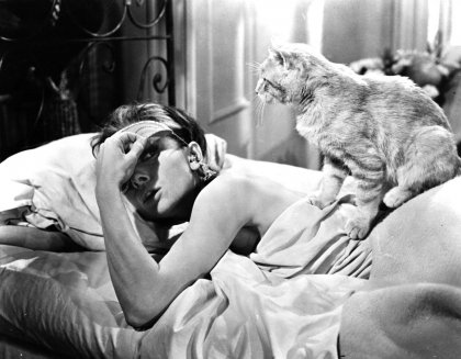 Hacer o no hacer la cama por las mañanas