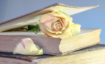 7 beneficios de la lectura
