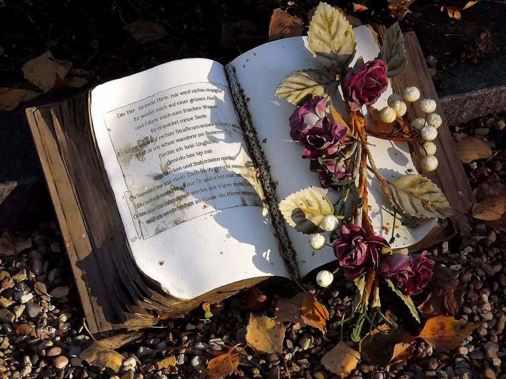Libro y rosa en un cementerio