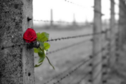 La fuerza y los límites del amor