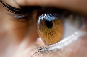 ¿Qué trasmite nuestro color de ojos?
