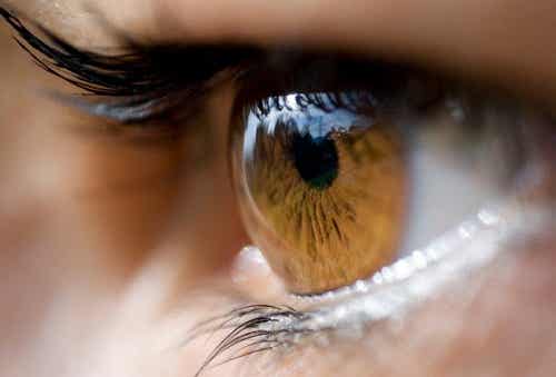¿Qué transmite nuestro color de ojos?