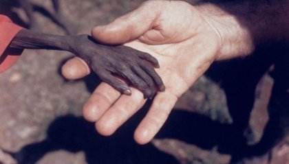 Imágenes que valen más que infinitas palabras