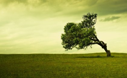 ¿Sabes cómo ayuda la Inteligencia Emocional a tratar la depresión?