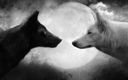 La crítica puede dañar o ayudar, tú decides