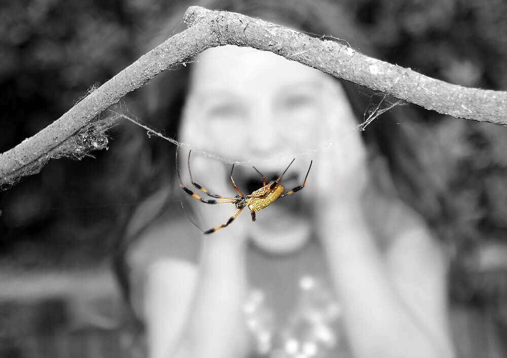 Niña con miedo a una araña por síndromes psicológicos
