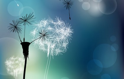 Cómo liberarte de las personas tóxicas