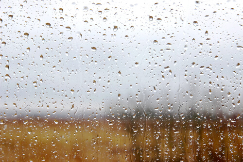 La tristeza es necesaria