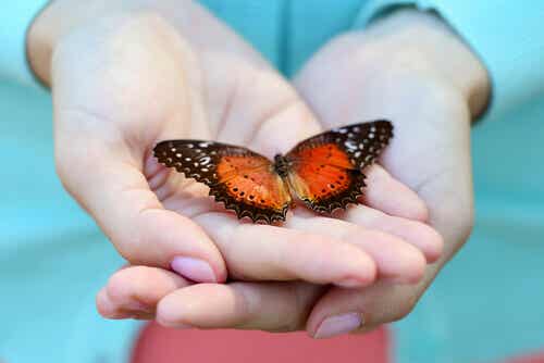 Hand med en fjäril som symboliserar tacksamhet