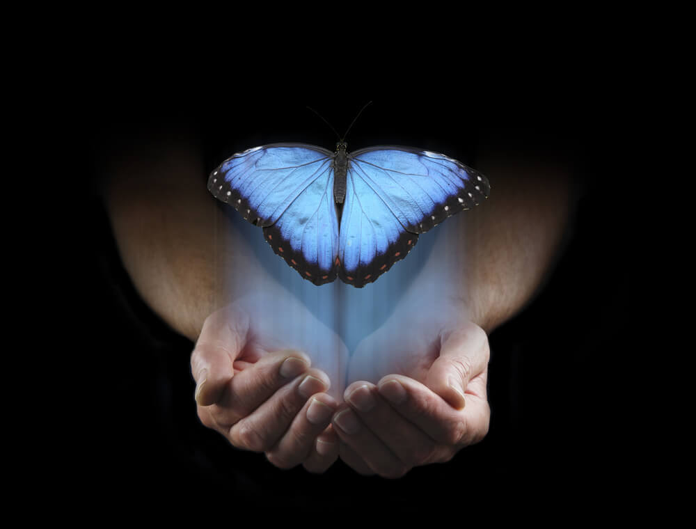 Mariposa azul