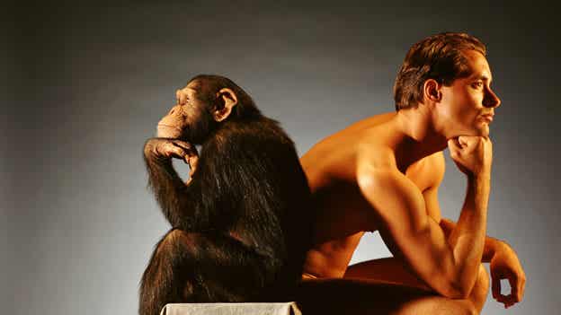 Mono y hombre sentados dándose la espalda
