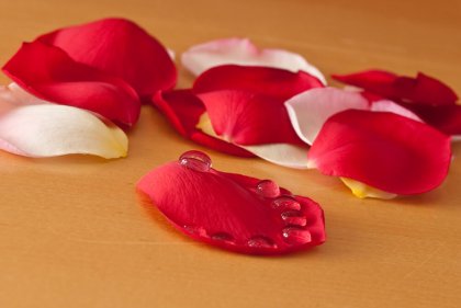 Las feromonas y el sexo