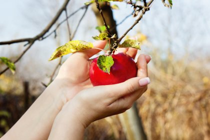 ¿Cómo conseguir grandes logros?