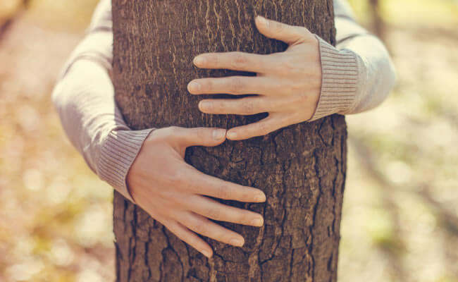 Abrazar árbol