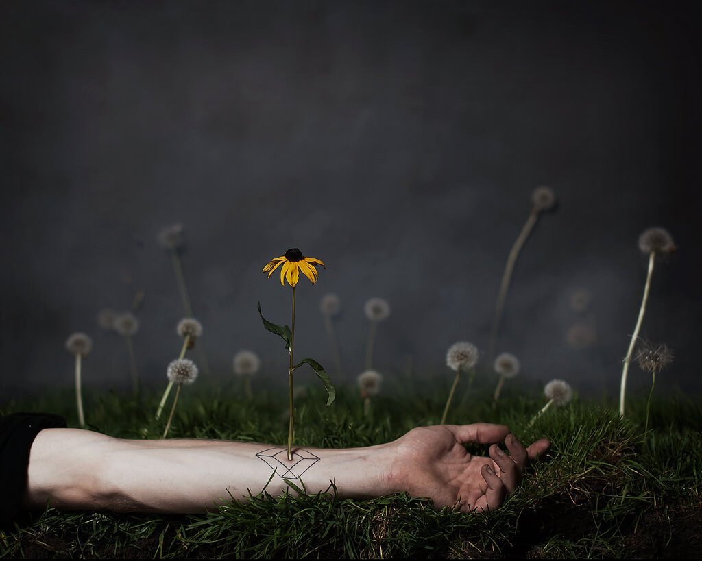 Flor creciendo de un brazo