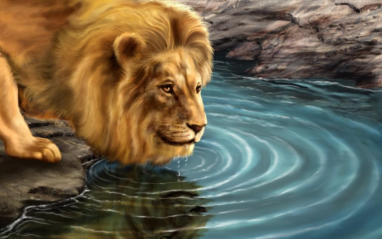 La historia del león y su reflejo - La Mente es Maravillosa