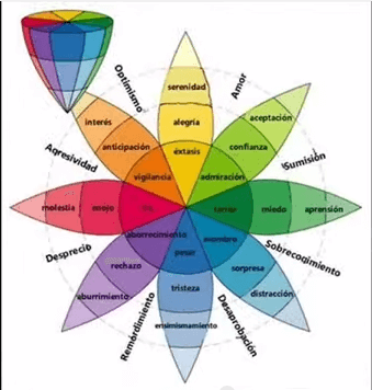 Súbete a la rueda de las emociones