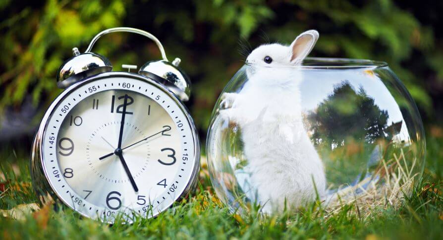 Cosas productivas para hacer en solo 5 minutos