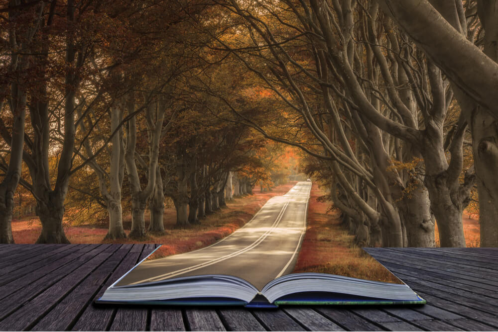Libro del que sale un camino 