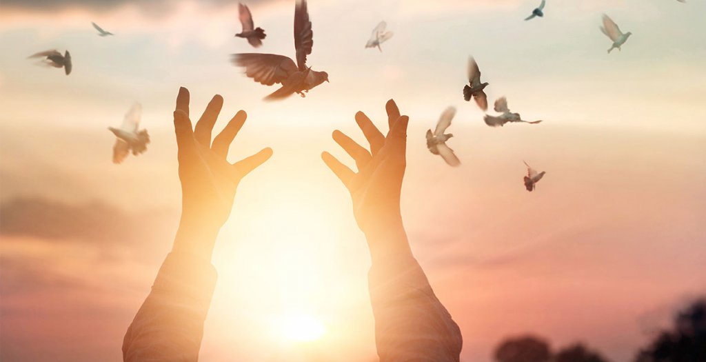 Woman letting go of some birds.