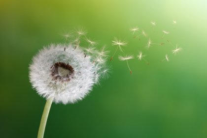 Aprender a aceptar, aprender a cambiar