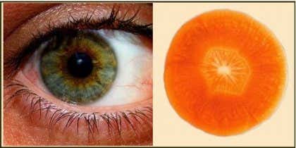 zanahoria y ojo