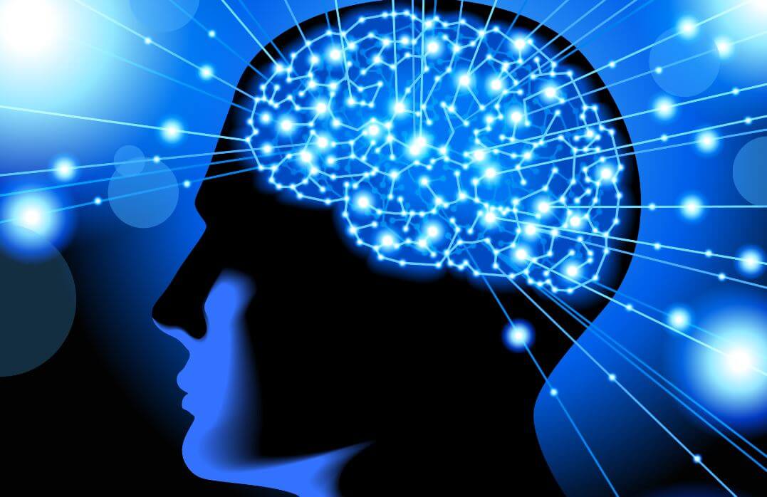 Neurociencia, una forma de entender el comportamiento de la mente