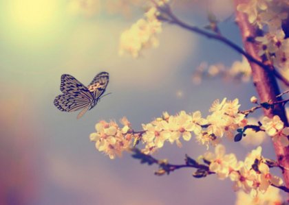 El momento de volar