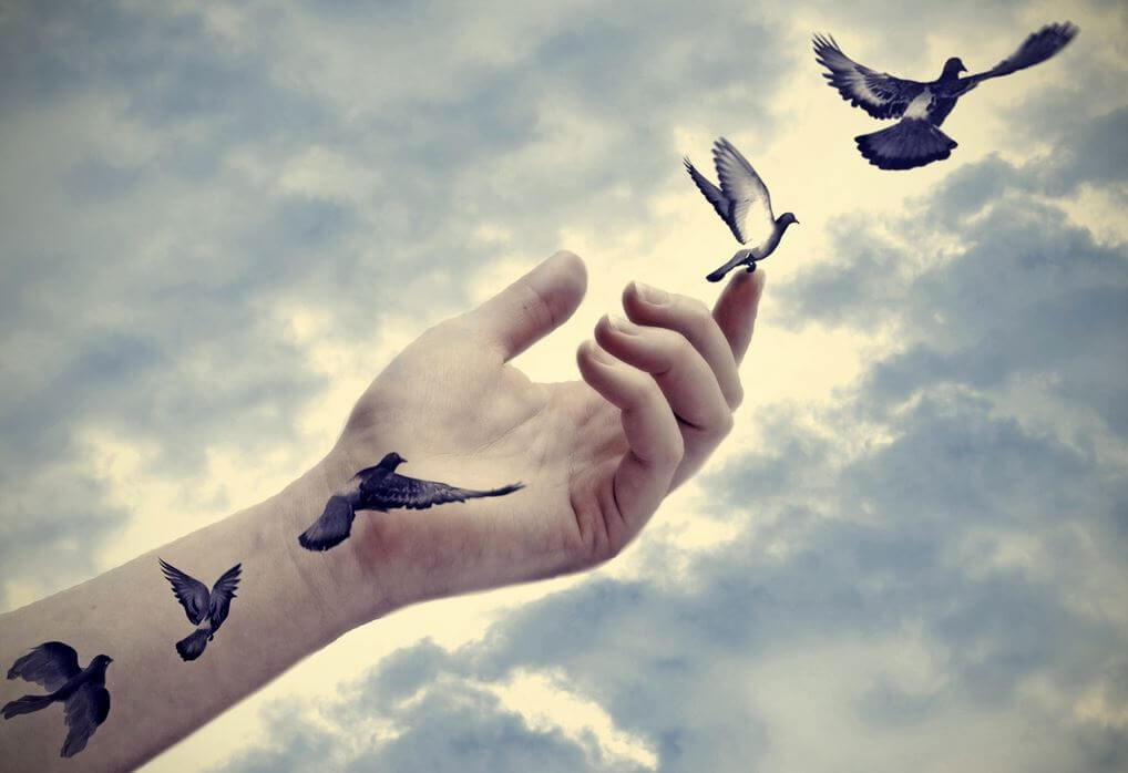Mano liberando pájaros