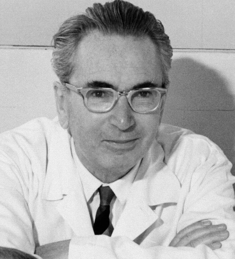 Viktor Frankl y el sentido de responsabilidad