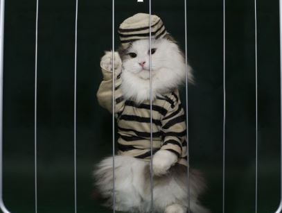 Las 11 claves de la infelicidad