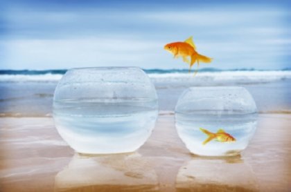 El poder de las intenciones