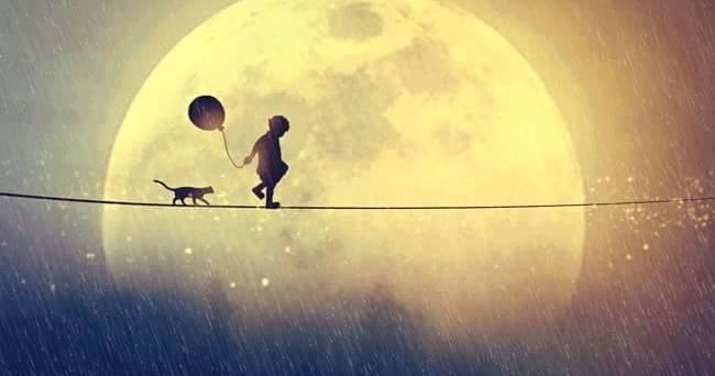 Niño sobre cuerda con gato