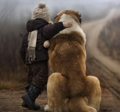 No eres lo que logras, sino lo que superas