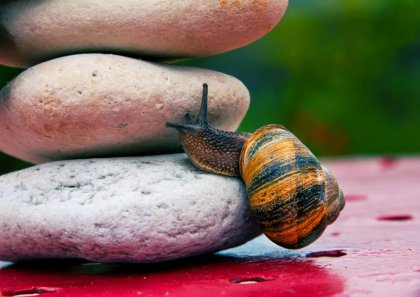 ¿Qué es la autoeficacia?