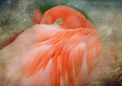 El amor es un eterno insatisfecho