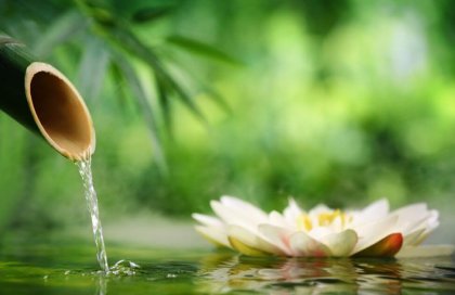 Nuestra naturaleza inteligente