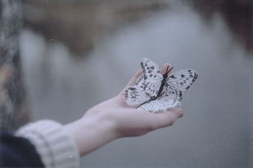 Mano con una mariposa simbolizando el Dharma