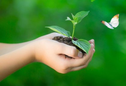 Cuatro pasos para cultivar una buena amistad