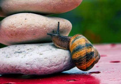 El arte de no amargarse la vida