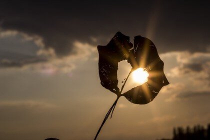 Hoja con un hueco reflejando vacío emocional