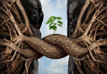 Los 7 palos de mi cabaña