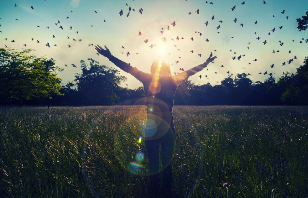 freedom and happiness