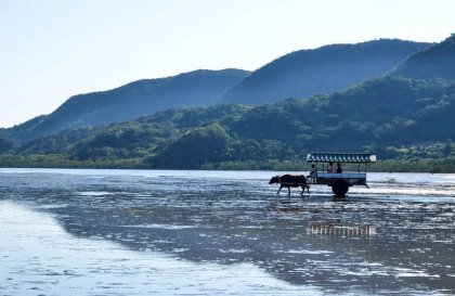 El secreto de los habitantes de Okinawa